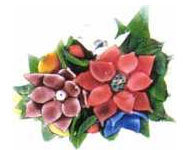 3.19 NEGC lampu ork boat/act