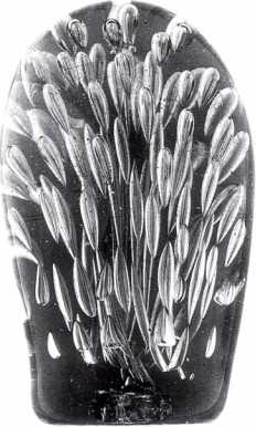 Frit Weights
