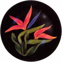 5.97 Bird of paradise by Gordon Smith