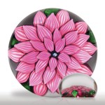 Lot 22 Outstanding Antique Saint Louis pink dahlia miniature paperweight