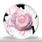 Lot 103 Rick Ayotte 1989 pink cabbage rose petite paperweight