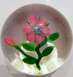 The first paperweight purchased by a collector known as the "Frankenstein of Cary" more than 40 years ago turned out to be a rare Clinchy Fantasy Flower. The collector, who earned his nickname by outbidding other dealers, who said they had created a monster, figures this paperweight probably could fetch "The 0,000 today. - Courtesy of 'Frankenstein'